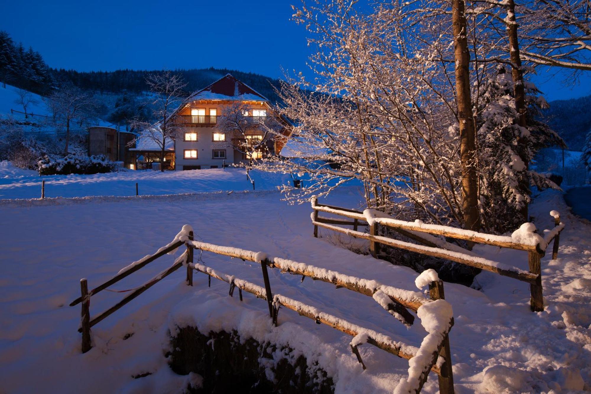 Hotel Schaetzlehof Winden im Elztal Exterior foto
