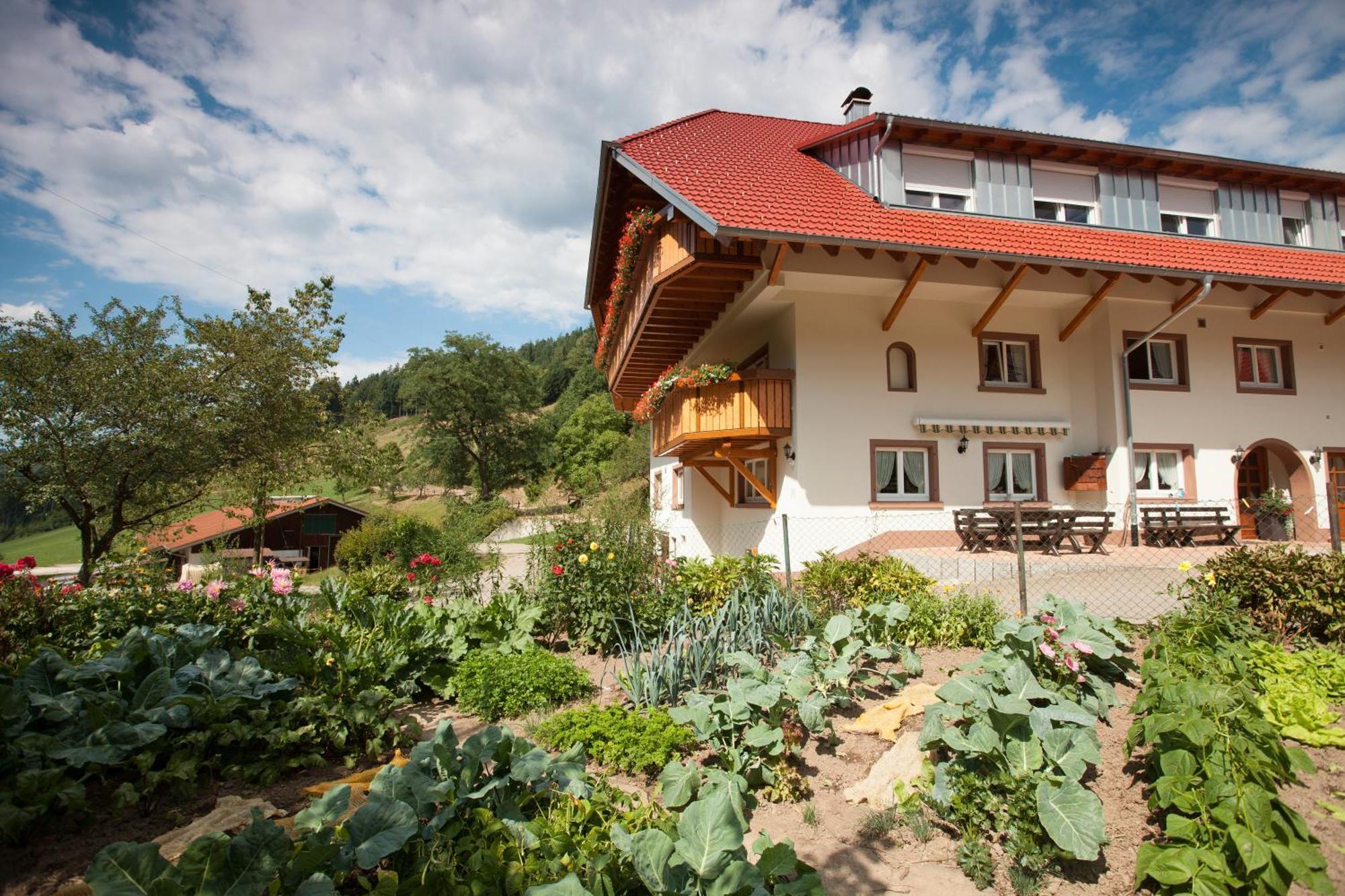 Hotel Schaetzlehof Winden im Elztal Exterior foto