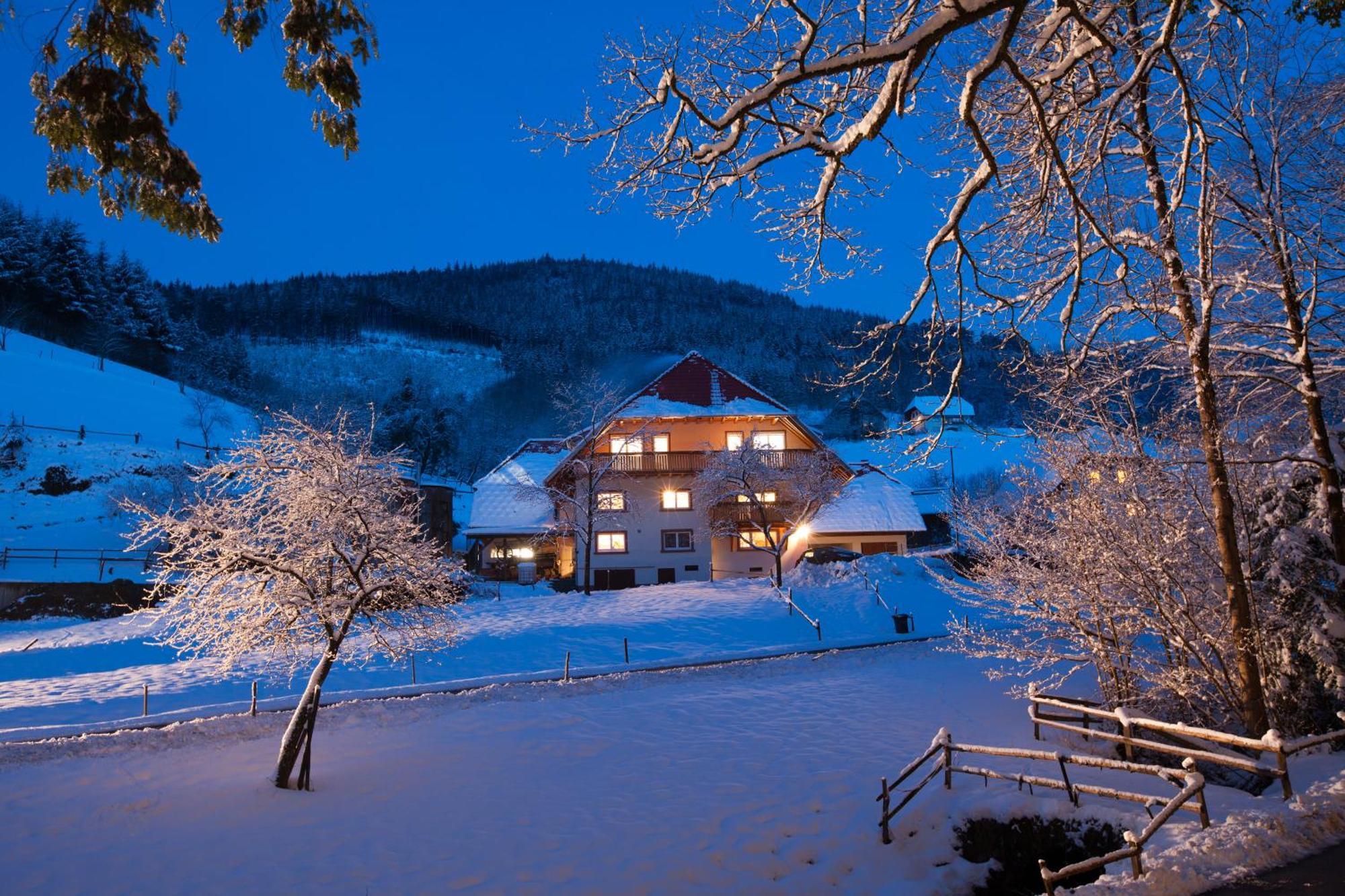 Hotel Schaetzlehof Winden im Elztal Exterior foto