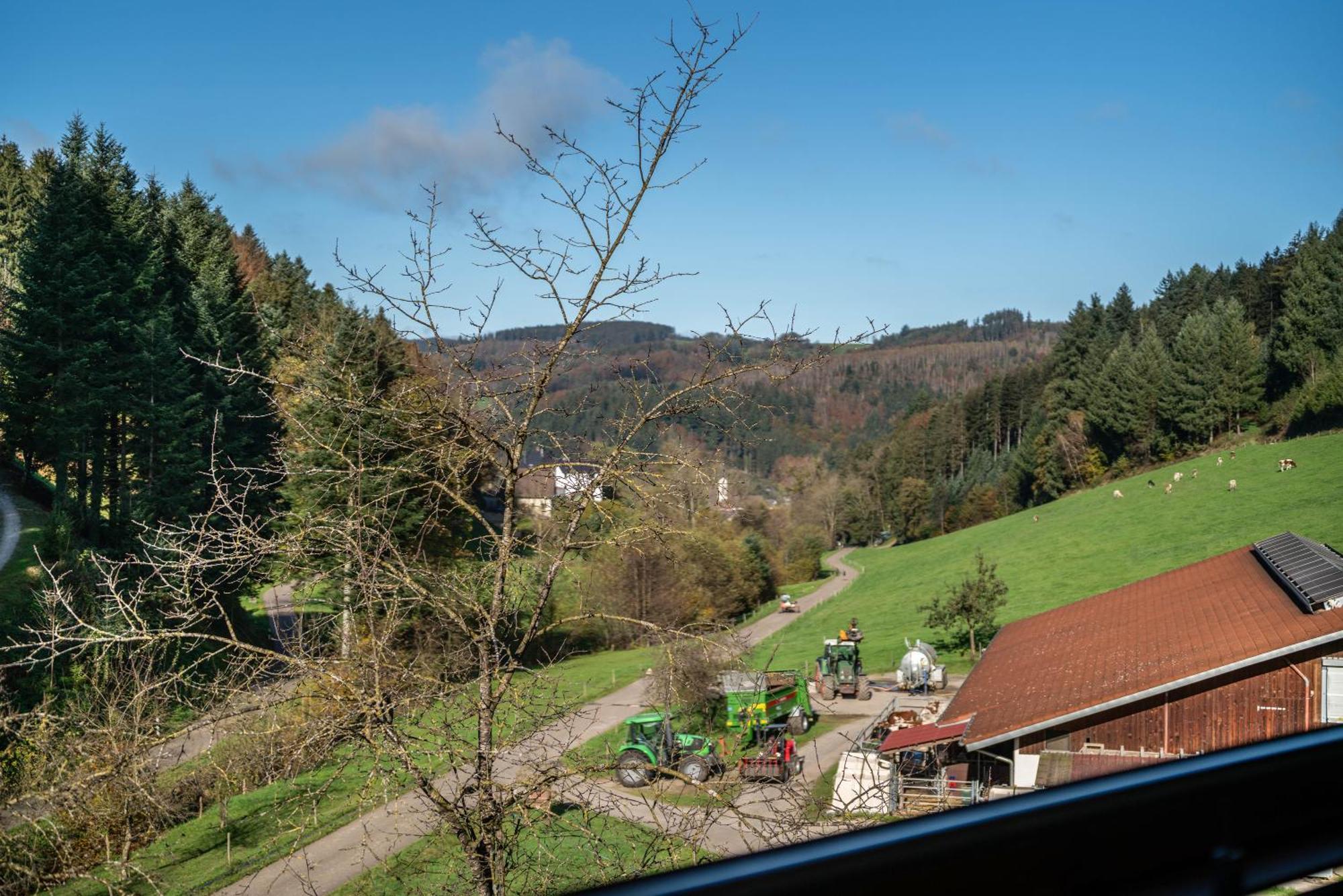 Hotel Schaetzlehof Winden im Elztal Exterior foto
